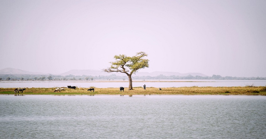 CIFOR/Olivier Girard